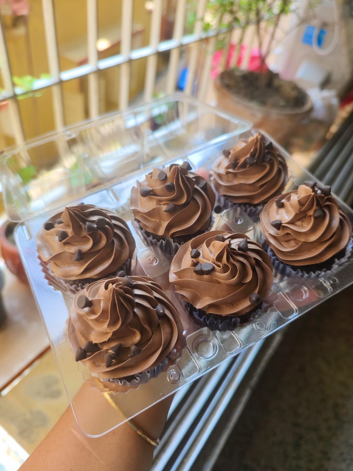 Chocolate Mousse Cupcake Recipes