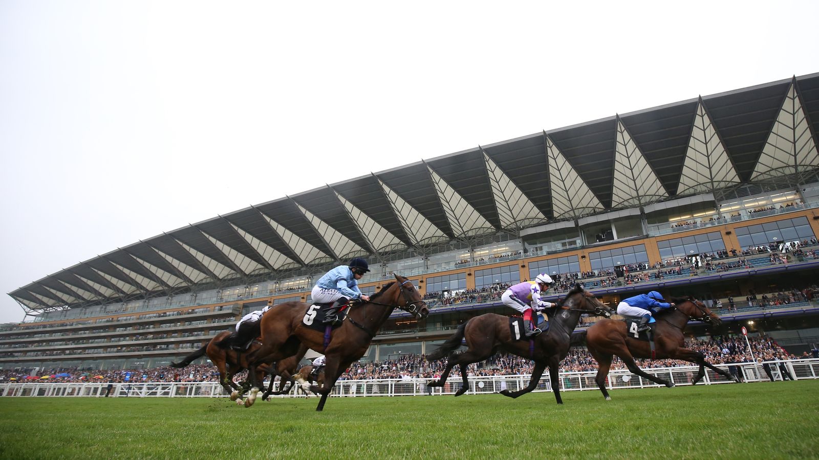 Infraad Aims for Hat Trick at Ascot