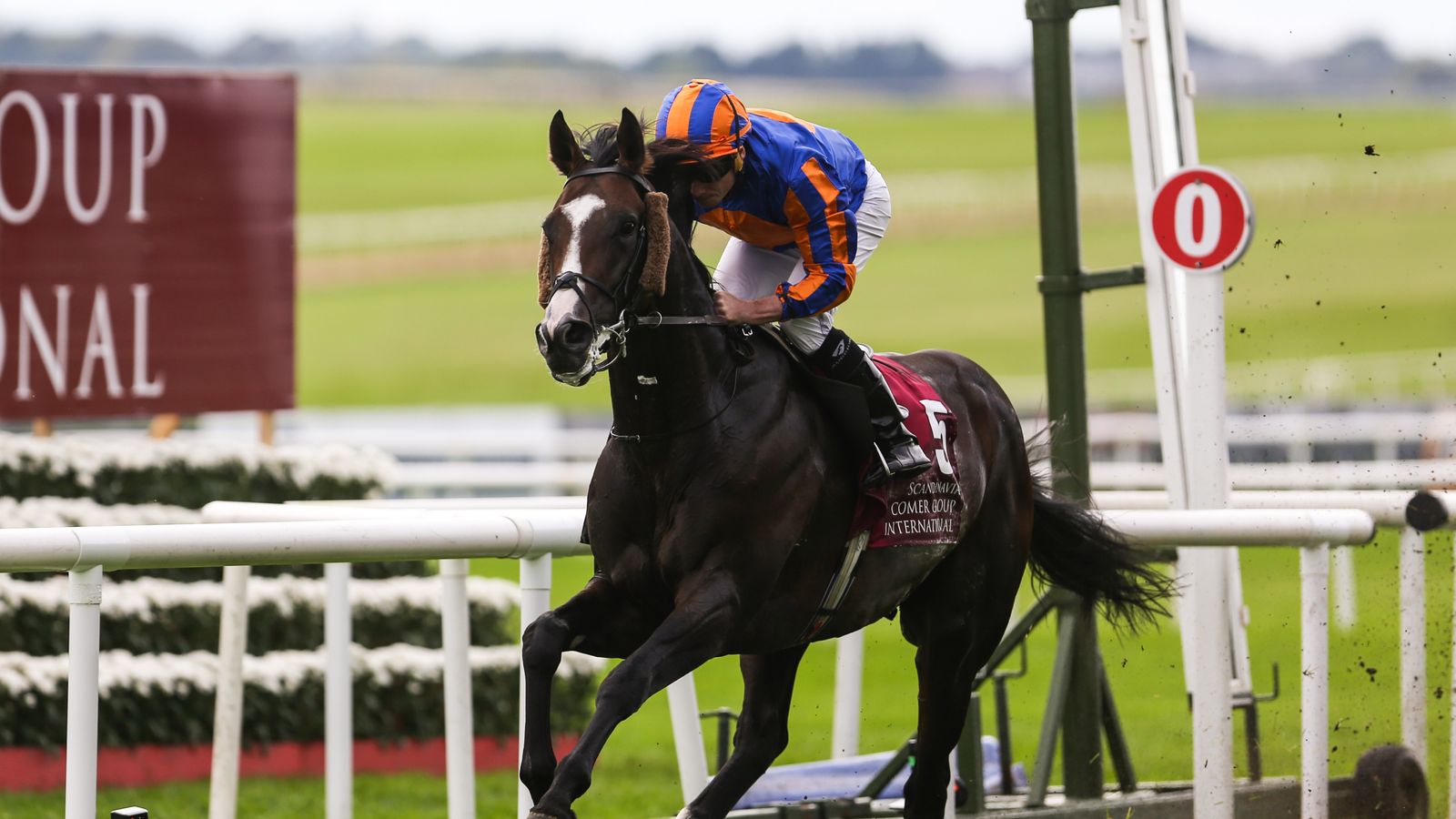 Scandinavia Seeks Sixth Group 1 Victory in Prix du Cadran