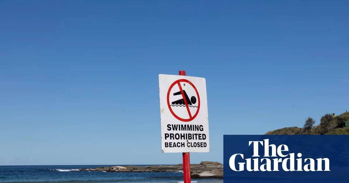 Shark Alert After Humpback Whale Dies in River