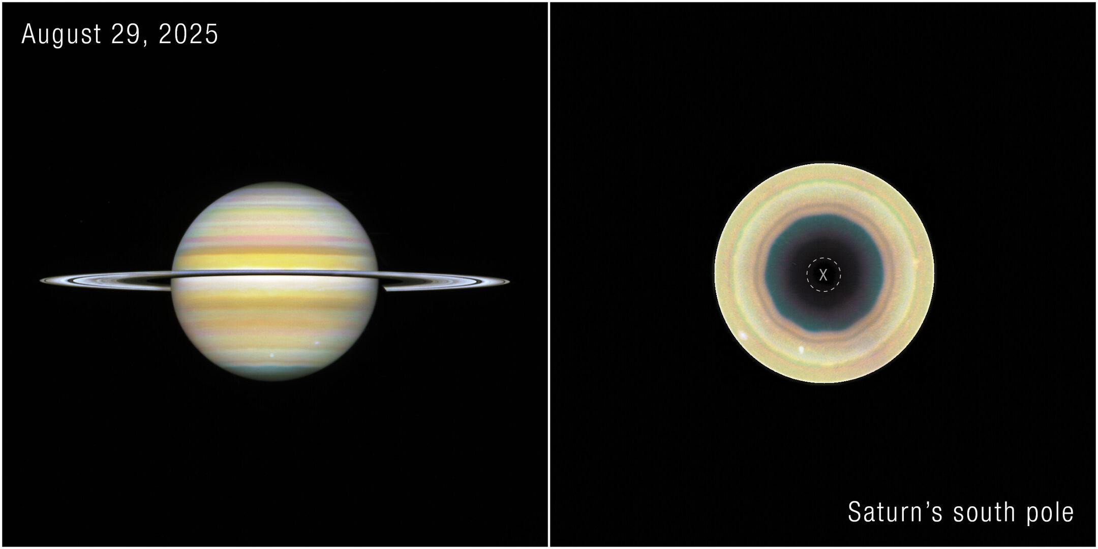 Week in Images: 31 Aug to 04 Sep 2026 Science Highlights