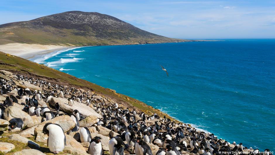Sea Lion Oil Project Stokes Renewed UK-Argentina Falklands Tension