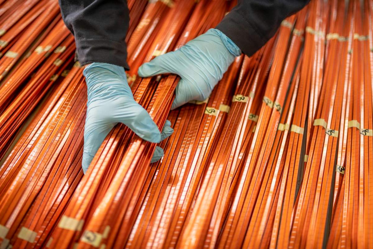 Giraffe Bio Targets Copper Shortage with Custom Biomolecules