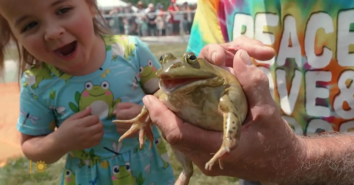 Hop to It: Drama at the Valley City Ohio Frog Jump