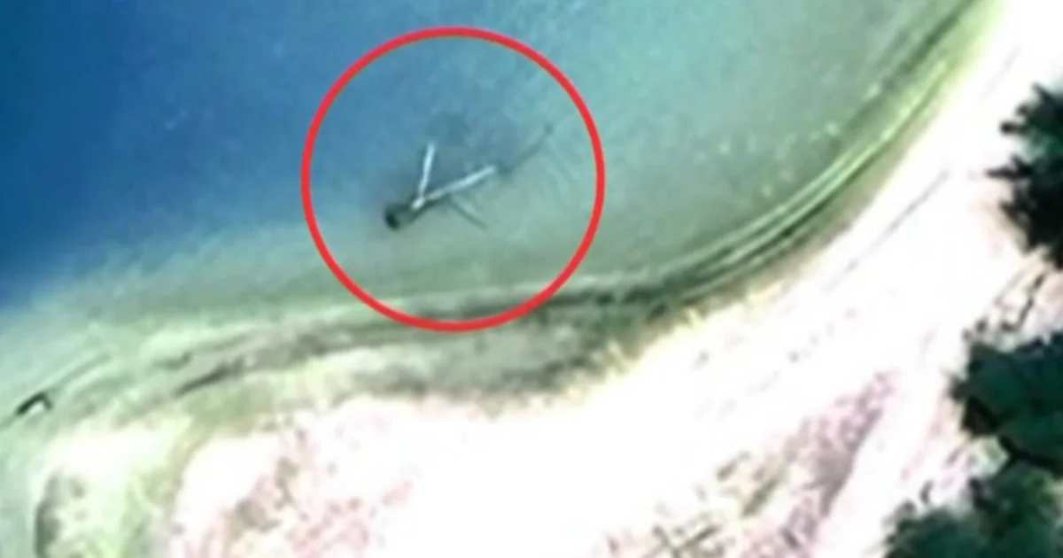Expedition Finds No Trace of Amelia Earhart’s Plane