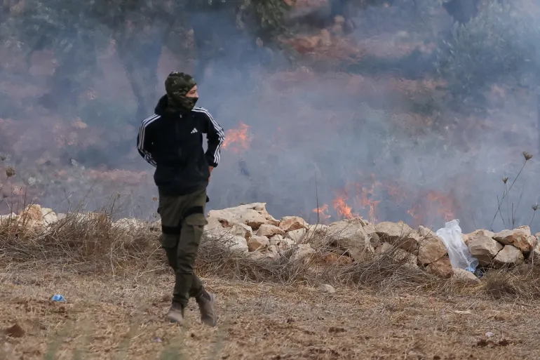 Israeli Settlers Assault Journalists and Diplomats Amid Spike in Olive Harvest Violence