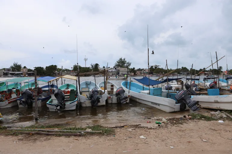 Pig farms and wastewater taint Yucatan drinking water, says Greenpeace