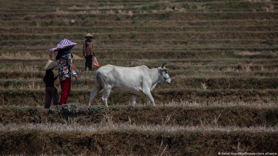 How Climate Change and Food Insecurity May Spark Future Conflicts