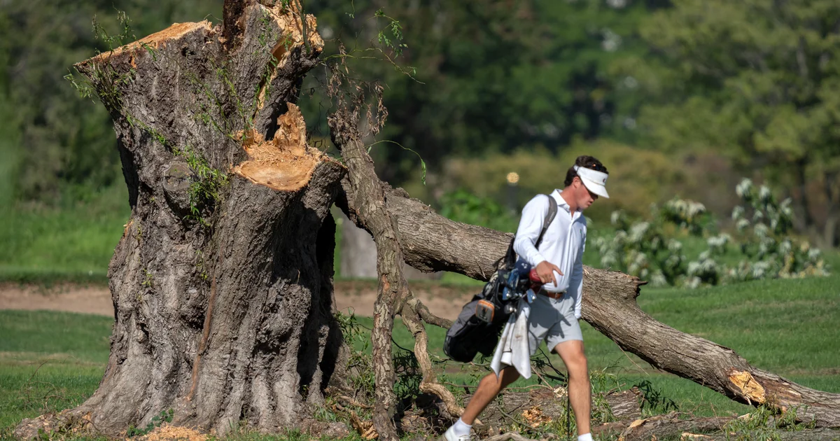 Judge Blocks Trump From Cutting Trees at D.C. Golf Course