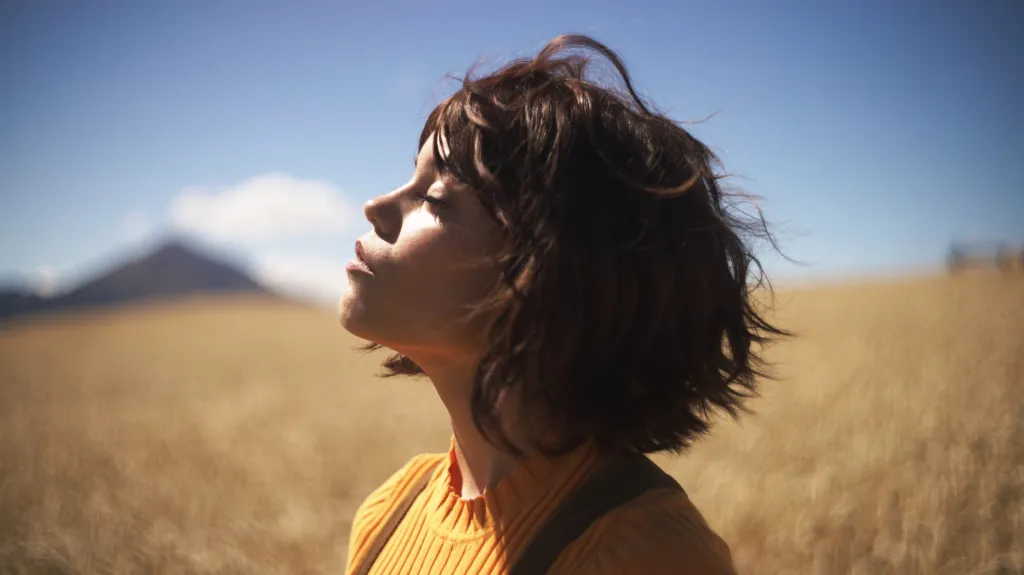 Why Klara and the Sun Struggled at the Box Office