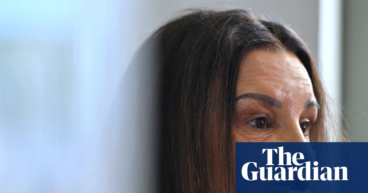 Jacqui Lambie calls Pauline Hanson a coward over One Nation cartoon