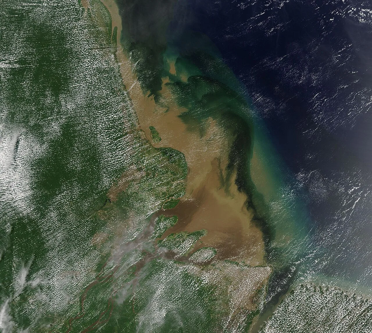 Cover image for Amazon Satellite Network