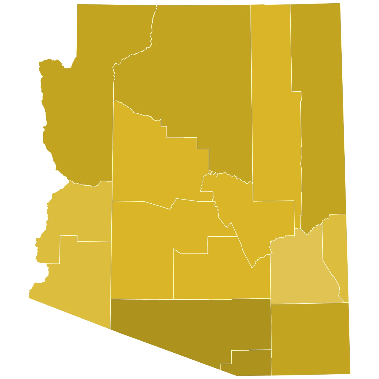 Cover image for Arizona Primary Races
