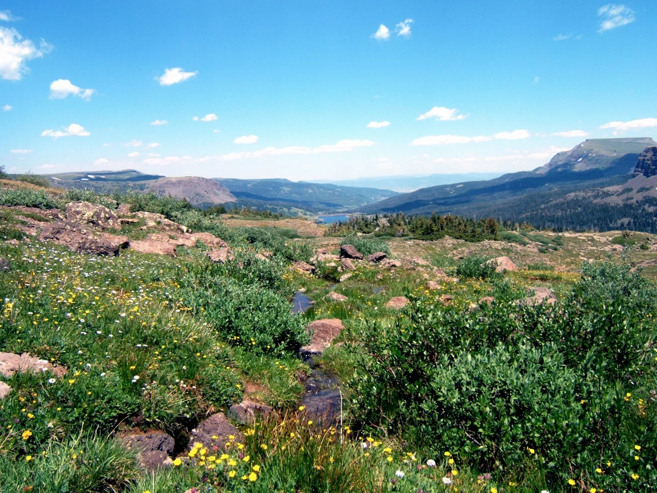 Cover image for Colorado River Reservoirs Hit Record Lows