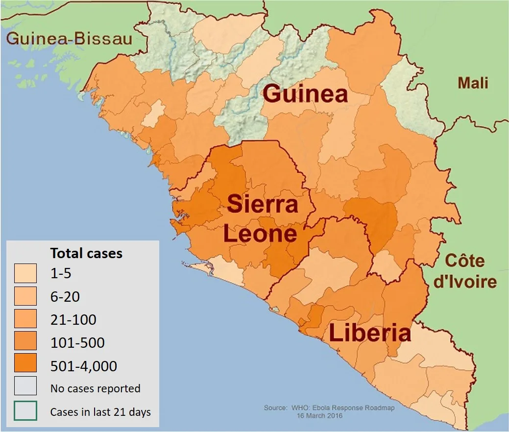 Cover image for Ebola Outbreak: WHO Warns of Rising Infection Rates