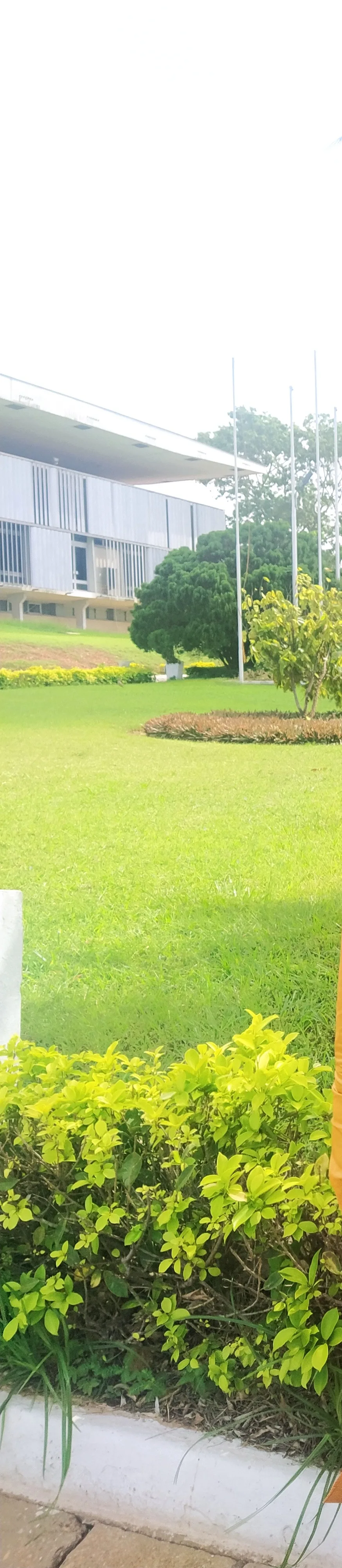 Eco Wins: Transforming Barren Lands