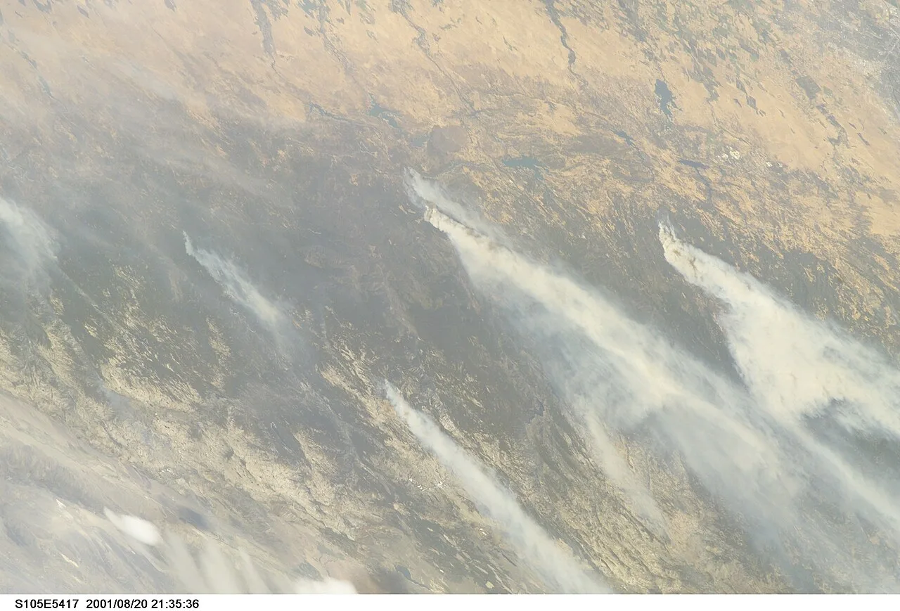Cover image for Fighting Wildfires