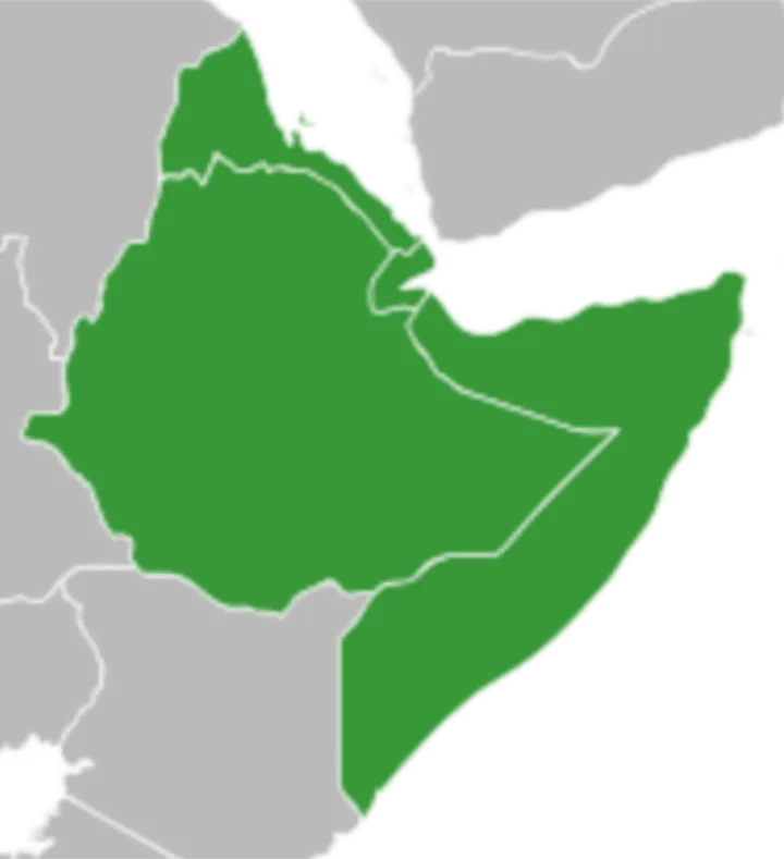 Cover image for Horn of Africa Diplomacy