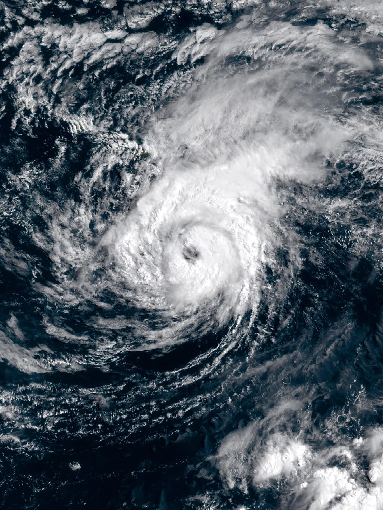 Cover image for Hurricane Lala Hits Hawaii