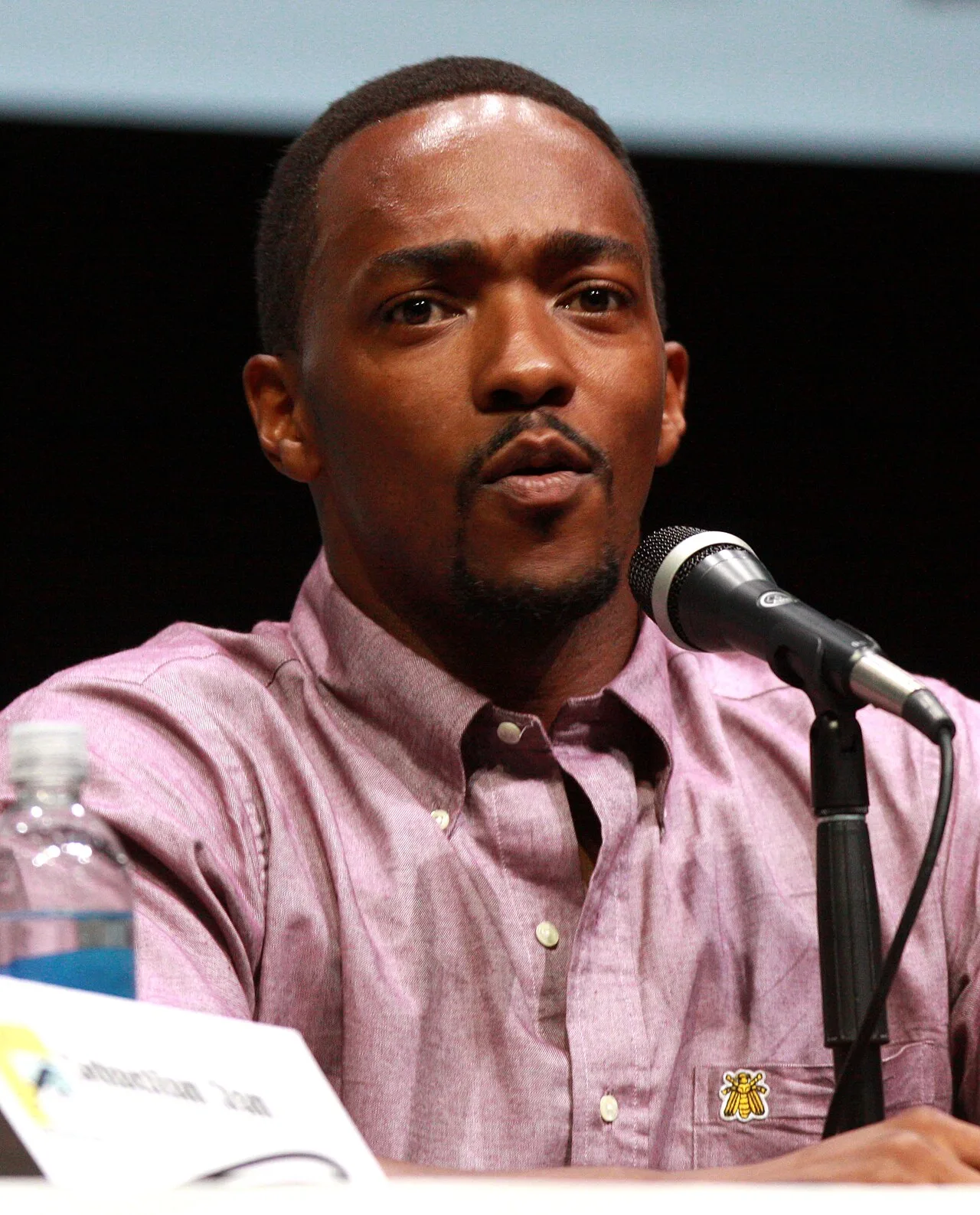 Ian McKellen's Heartwarming Reaction to Anthony Mackie's Captain America Role