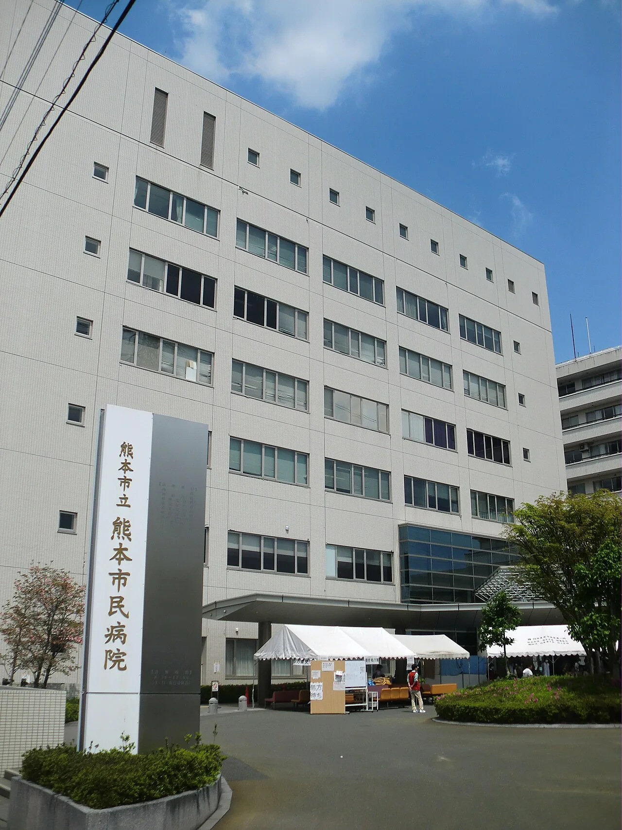 Cover image for Japan Earthquake