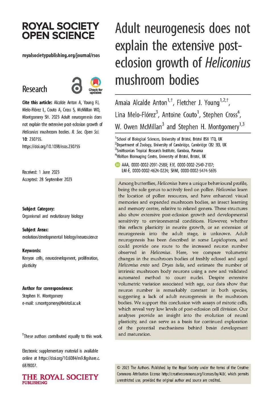 Cover image for Magic Mushrooms Reshape Brain
