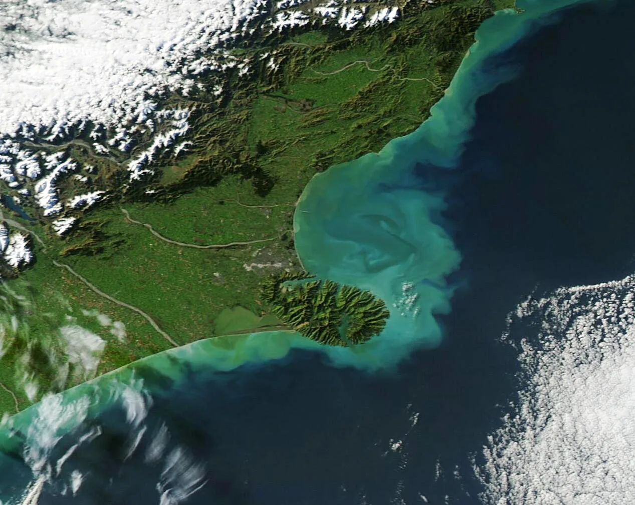 Cover image for New Zealand's Rare Snowfall Delight