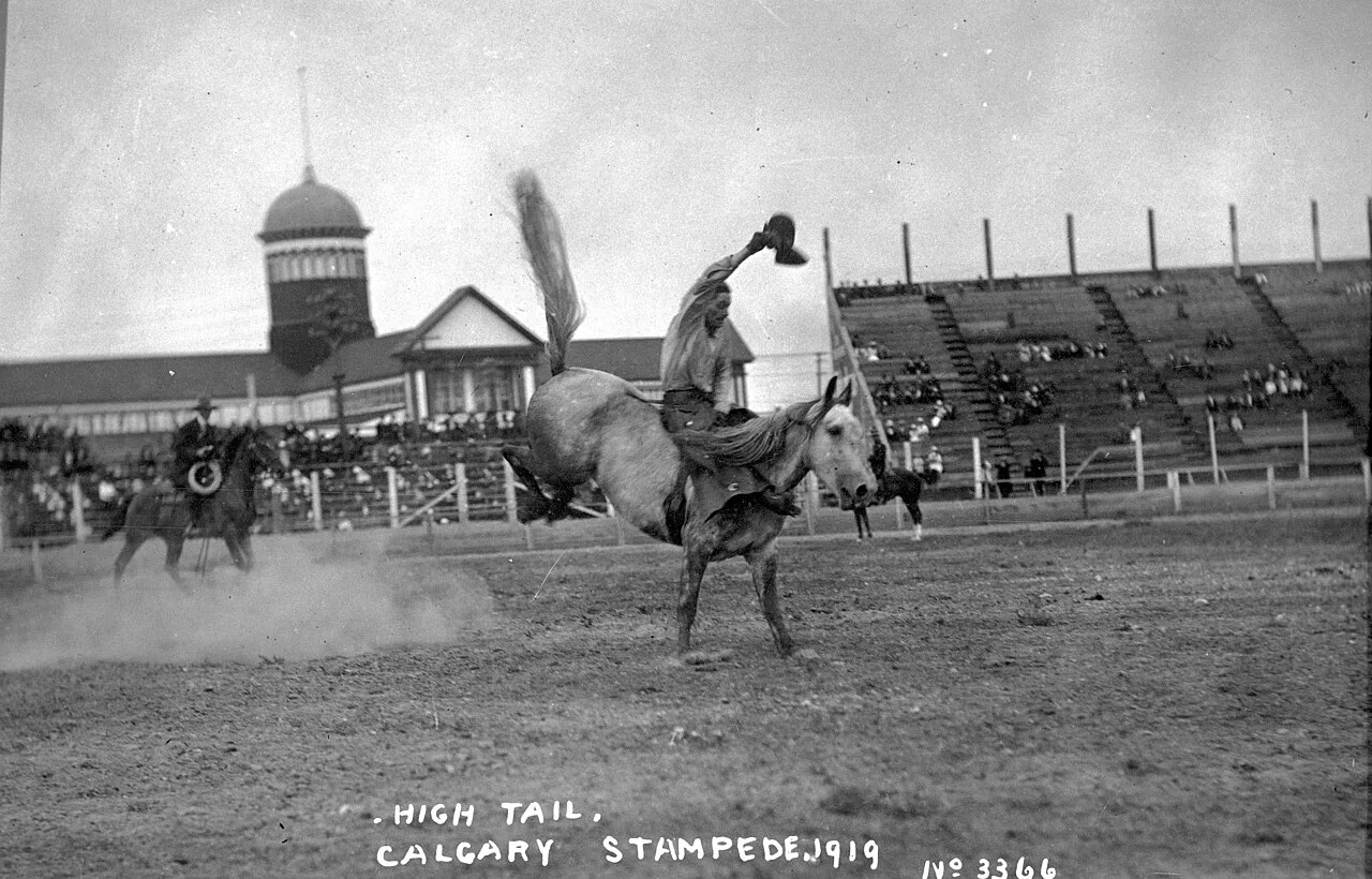 Cover image for Oil Prices at Calgary Stampede