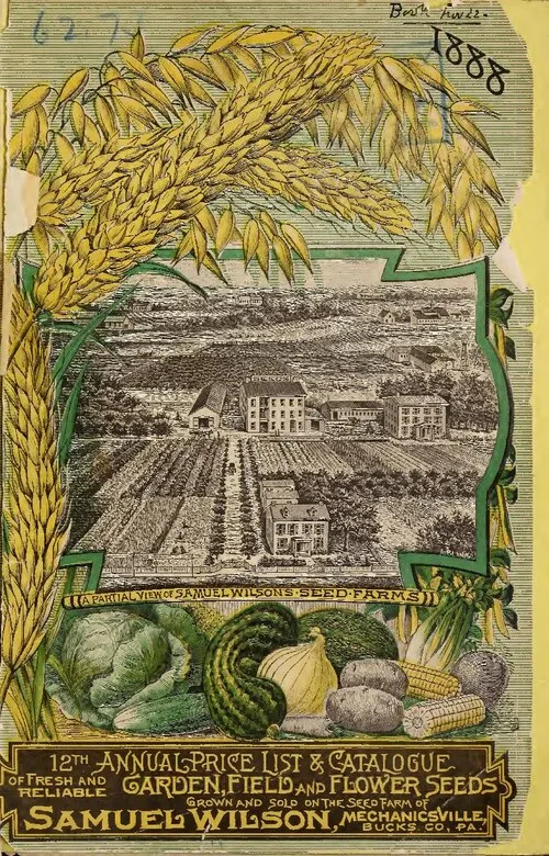 Cover image for Rising Produce Costs