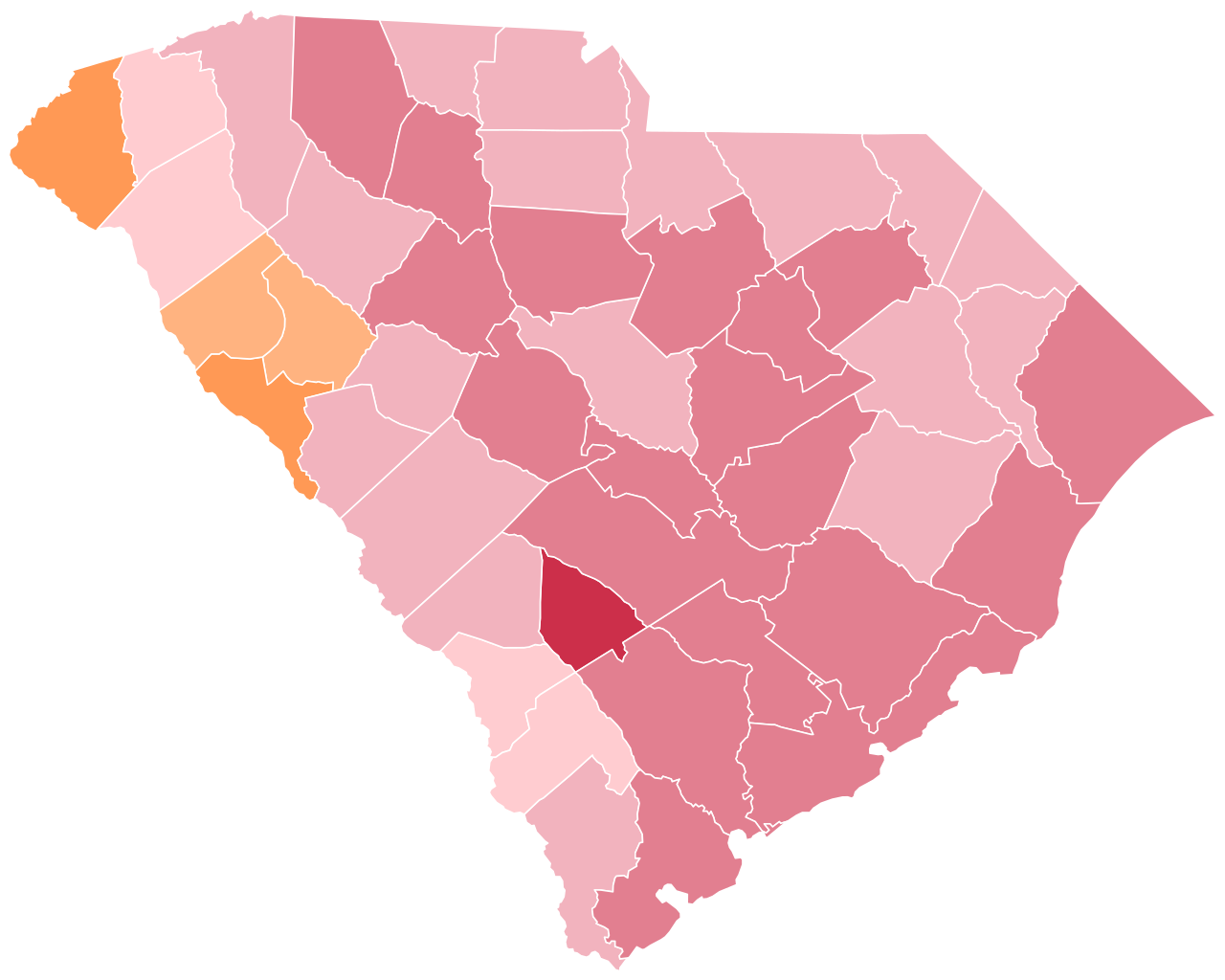 Cover image for SC GOP Voters Choose Nominee
