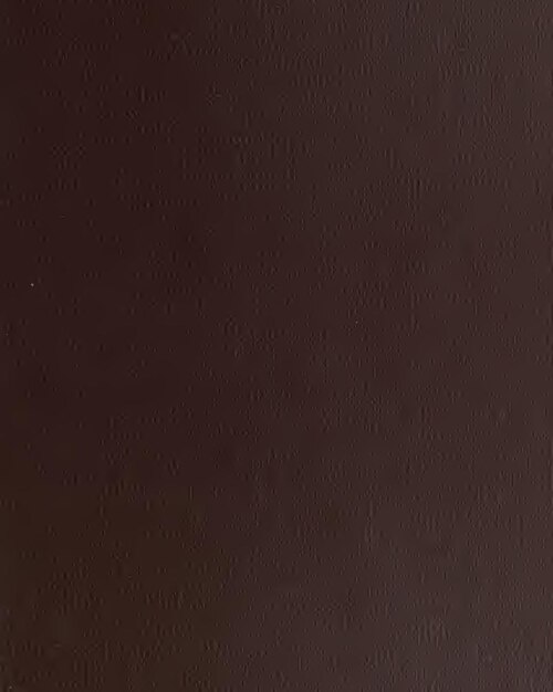 Tom Holland Teases Spider-Man: Brand New Day