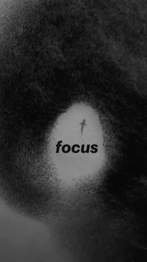 Cover image for A World Out of Focus