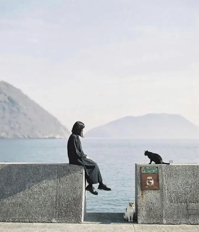 Cover image for Invisible feeling