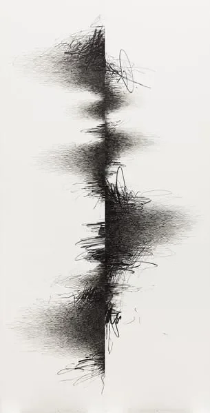 Cover image for The Echoes