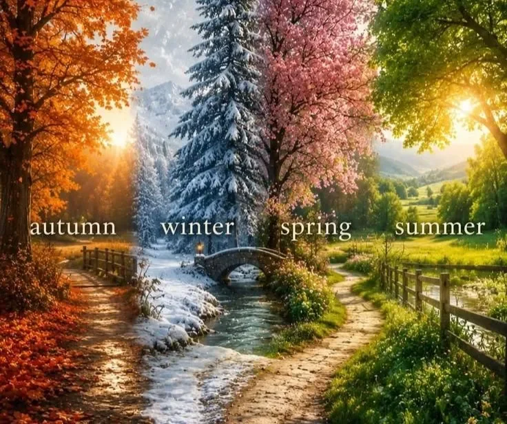 Cover image for THE FOUR SEASONS