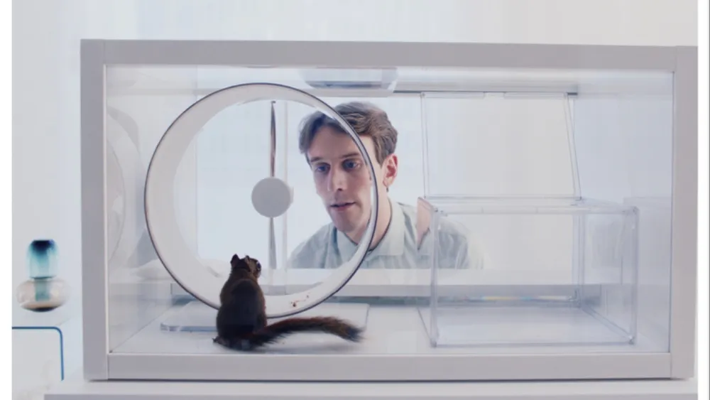 Finnish Oscar Entry "The Squirrel" Wins Aki Kaurismäki Praise