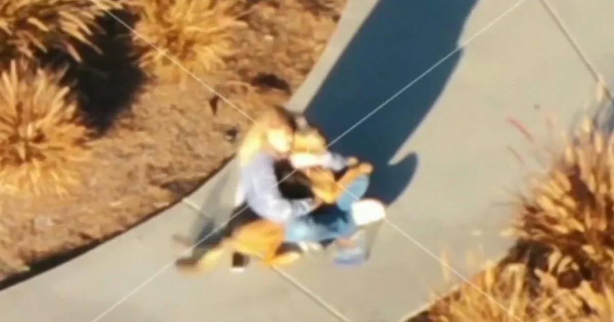 Southern California City Uses $17,000 Drone to Locate Lost Pets