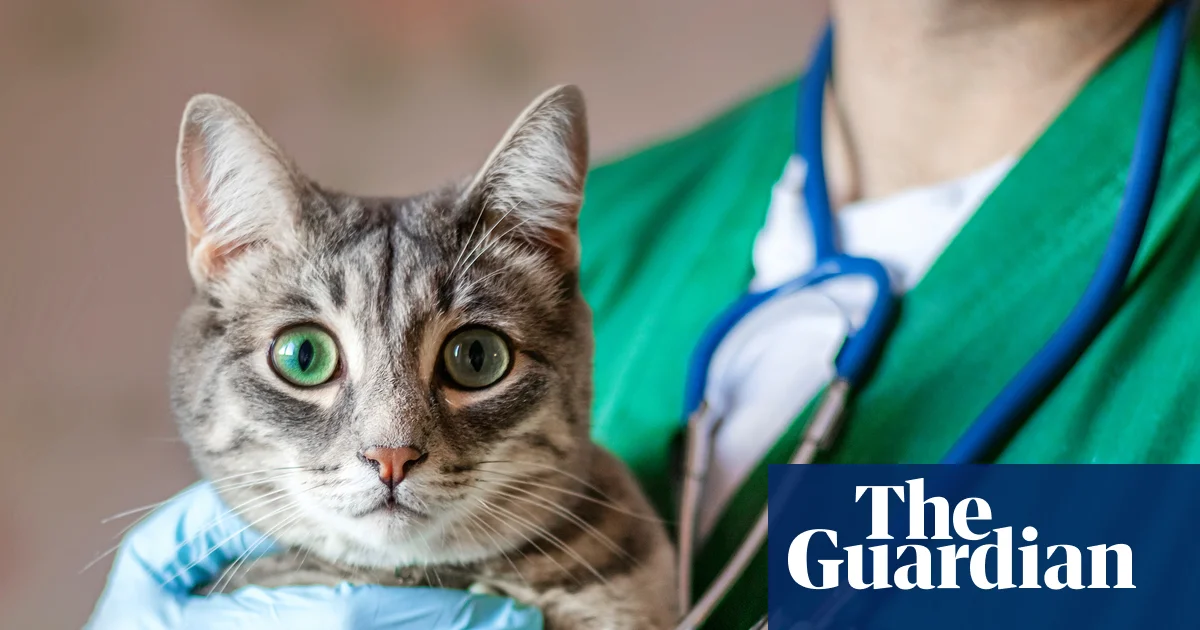 Pet Owners Warned of Hidden Private-Equity Ownership in Vet Clinics