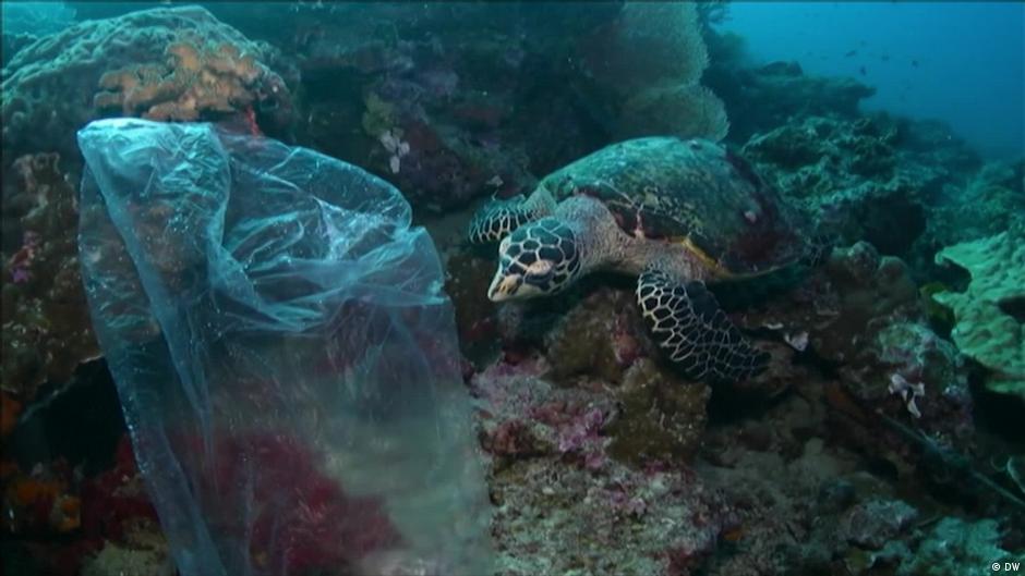 World Falls Short on 2030 Biodiversity Goal