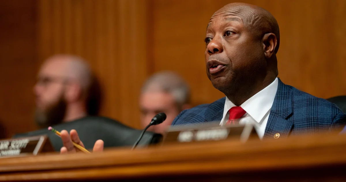 GOP Senator Calls Senate Fight a ‘Fight for Our Lives’ and Maps Path to Hold Senate