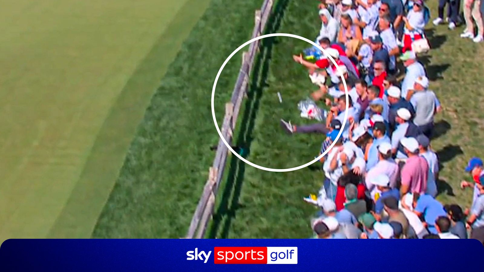 Fan Interference Sends Corey Conners Shot Back Into Play at Presidents Cup